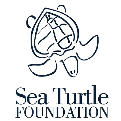 400x400 Seaturtlefoundation On Twitter Adding To The Research Released