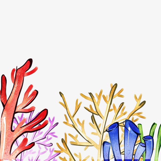 650x650 simple coral reef png transparent simple coral reef images