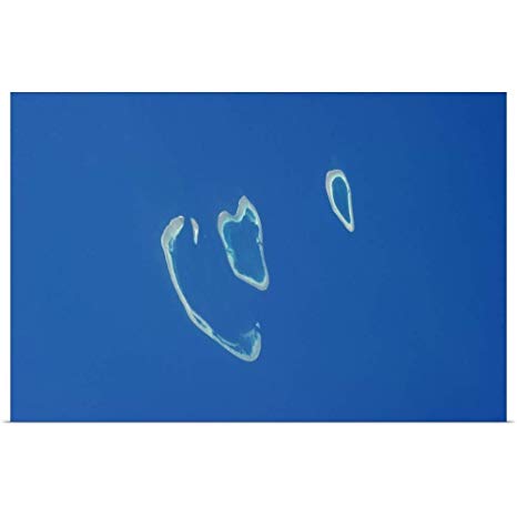 466x466 Greatbigcanvas Poster Print Entitled These Great