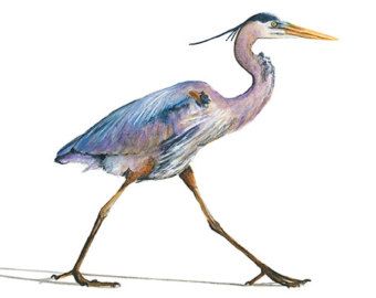 340x270 Free Shipping