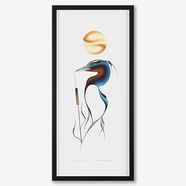 600x600 Great Blue Heron Coastal Peoples