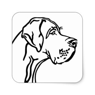 307x307 Great Dane Drawing Gifts On Zazzle Au