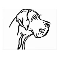 200x200 Great Dane Drawing Gifts On Zazzle