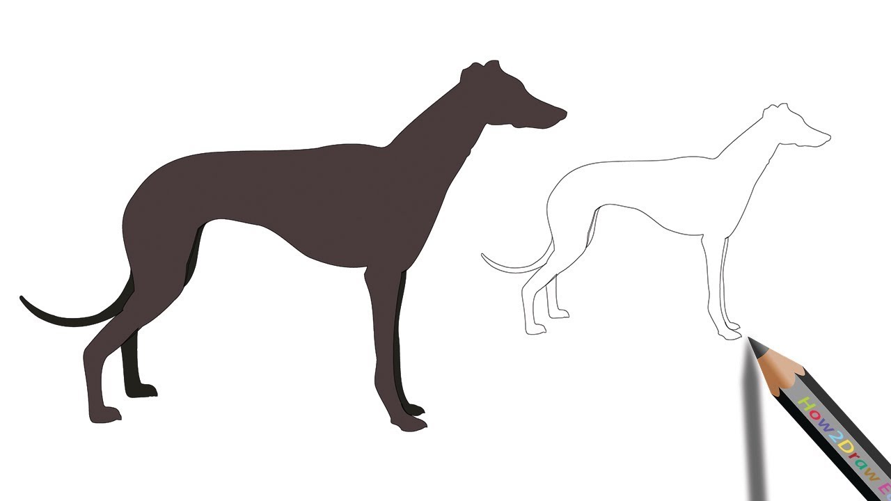 1280x720 How To Draw A Great Dane Dog Easy Drawing