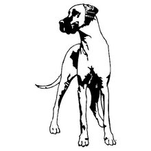 220x220 Popular Dogs Great Dane Buy Cheap Dogs Great Dane Lots From China