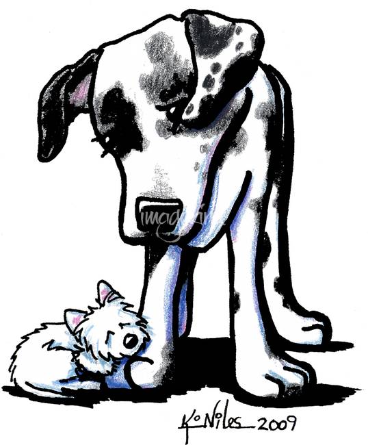538x650 Stunning Great Dane Drawings And Illustrations For Sale On Fine