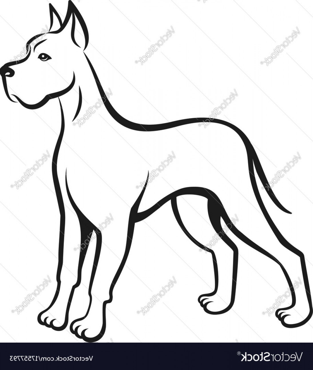 1094x1296 Dog Line Drawing Great Dane Can Be Used As Logo Vector Lazttweet