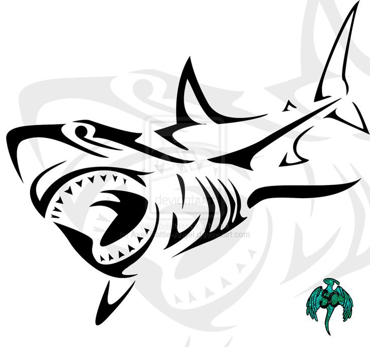 736x690 Shark Drawings