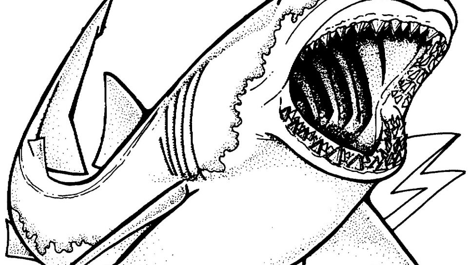 960x544 Unforgettable Hammerhead Shark Coloring