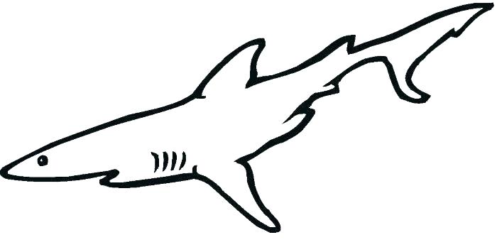 700x355 Hammerhead Shark Color Hammerhead Shark Coloring Pages Next Baby