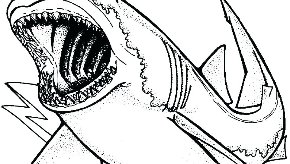 960x544 Hammerhead Shark Coloring