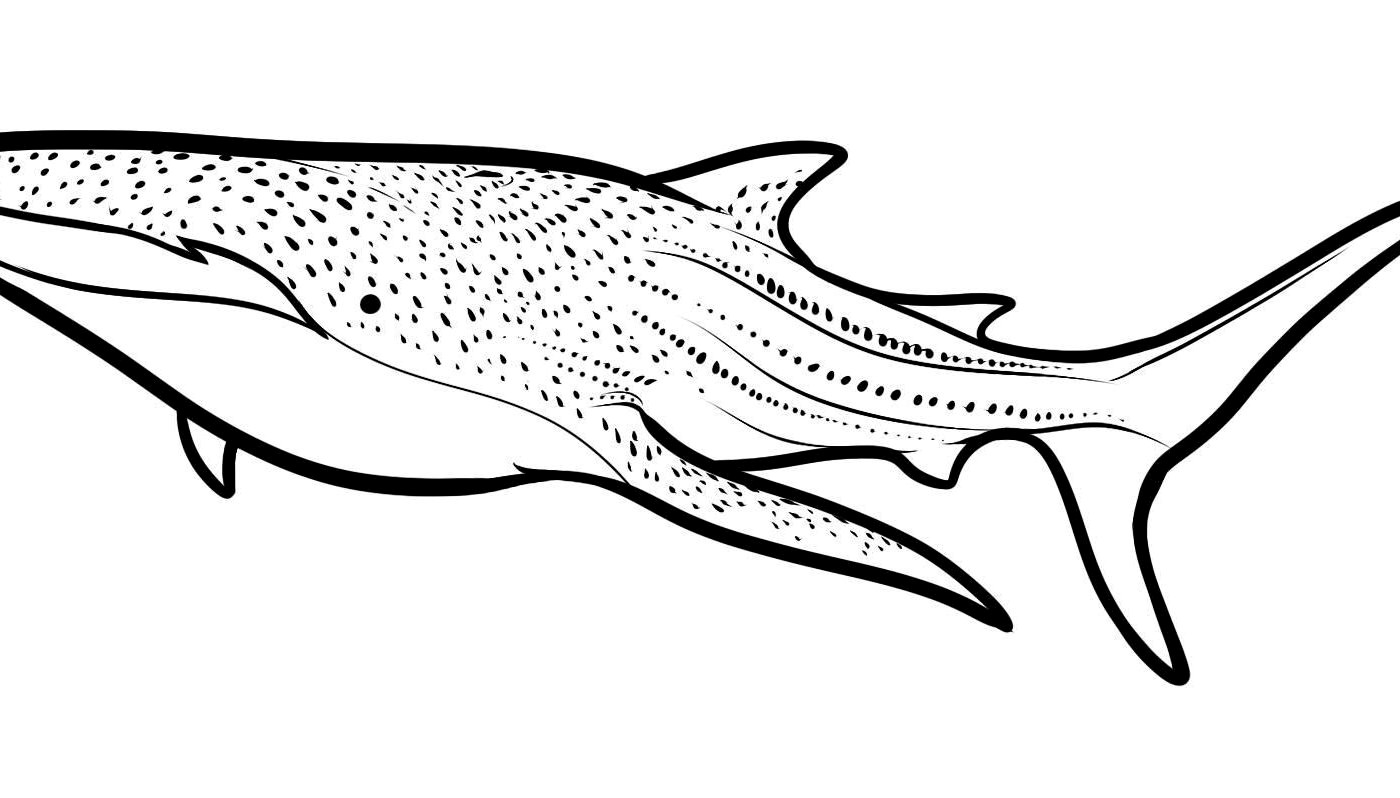 1400x798 Hammerhead Shark Coloring Pages To Print Clipart White Picturesque