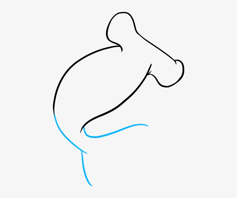 820x687 How To Draw Hammerhead Shark