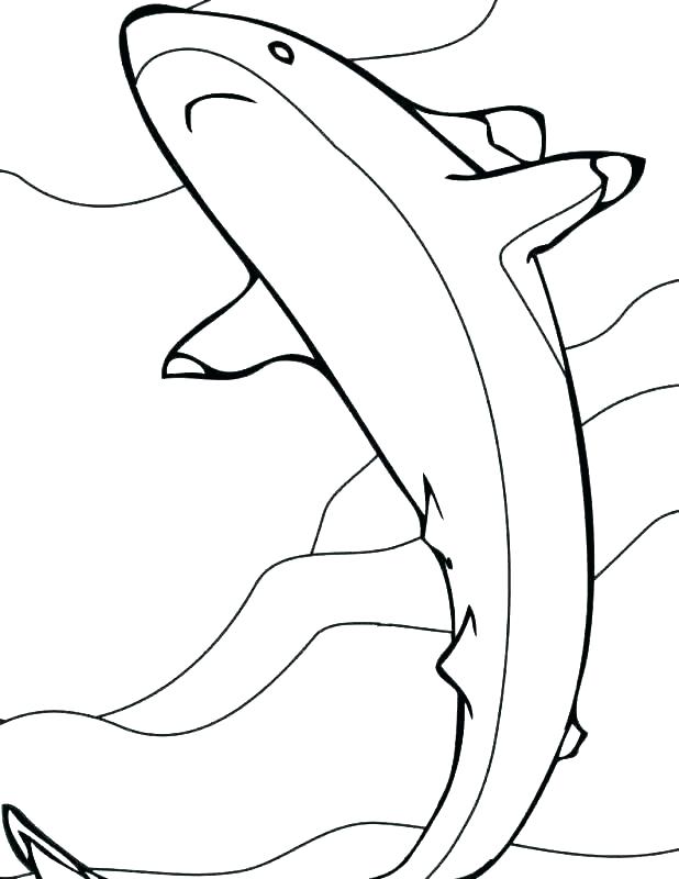 618x800 Shark Colouring Pages To Print Draw Coloring Book Shark Colouring