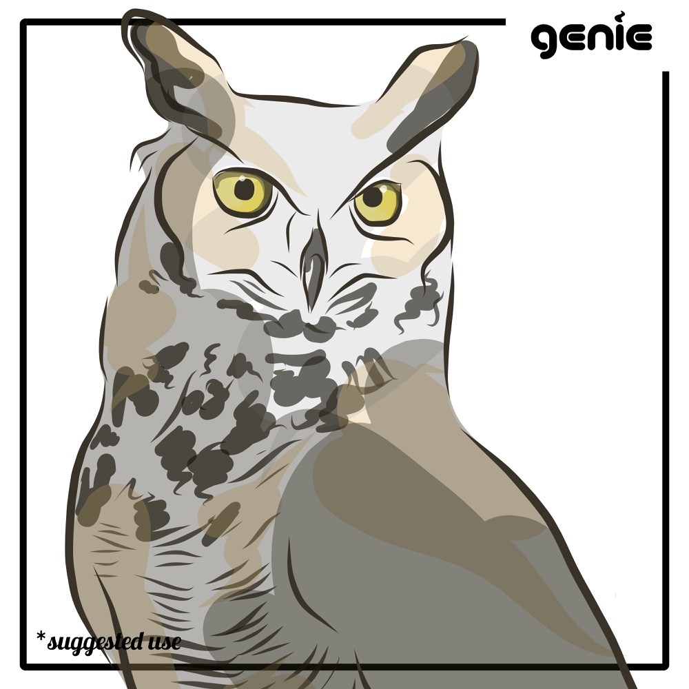1000x1000 Great Horned Owl Bird Vector Graphic Illustration Hand Drawn