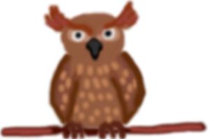 300x200 How To Draw Great Horned Owl