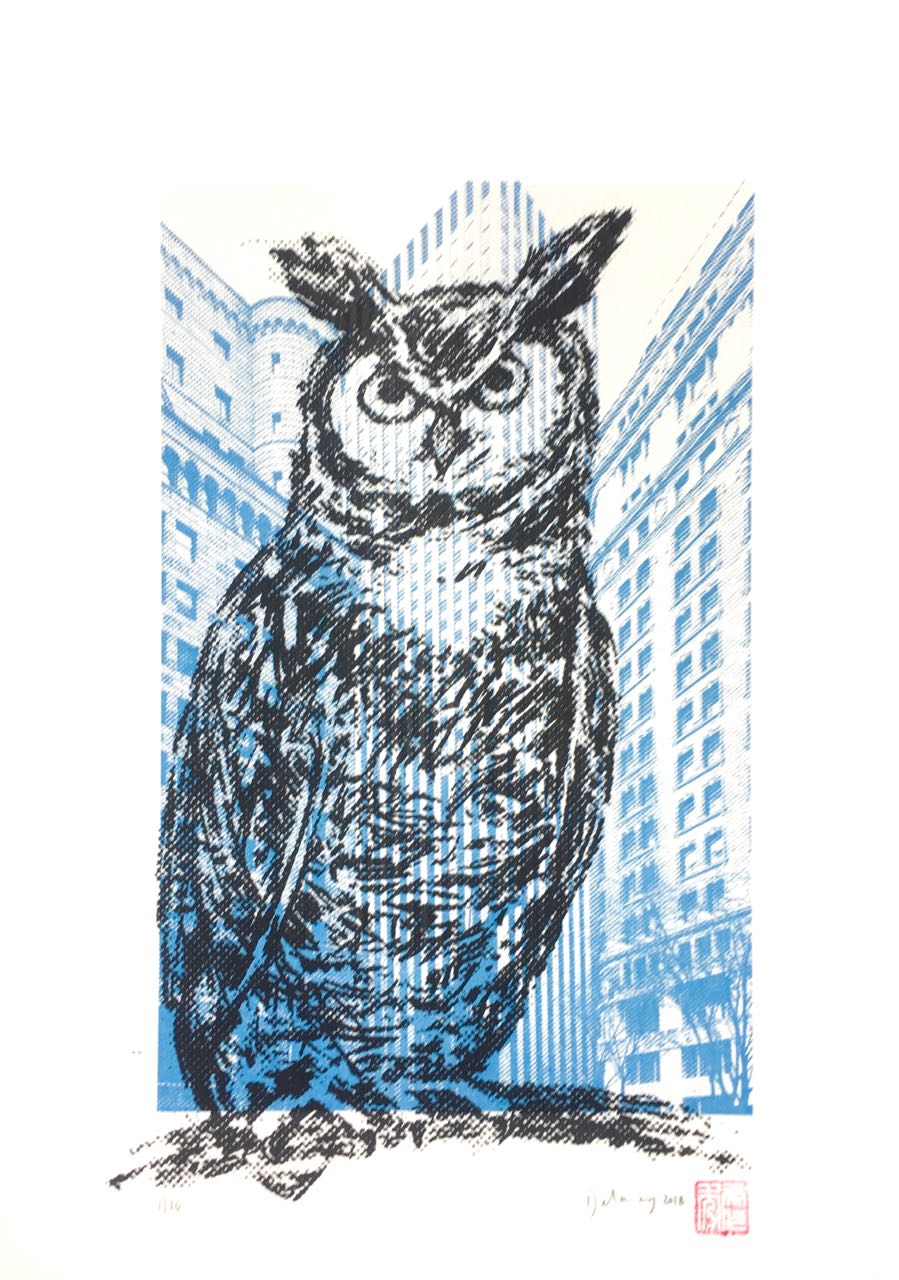 899x1280 Owls
