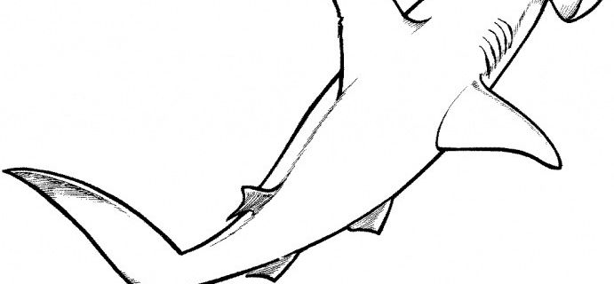 691x320 Free Printable Great White Shark Coloring Pages New Shark Drawing