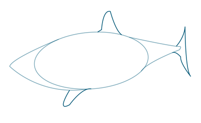 400x245 How To Draw A Great White Shark