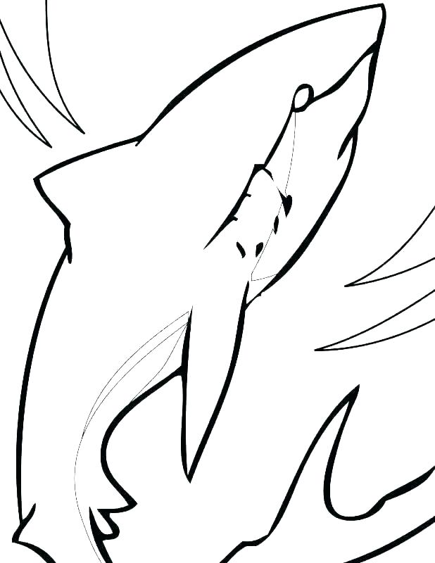 618x800 Shark Coloring Pages Printable Great White Shark Coloring