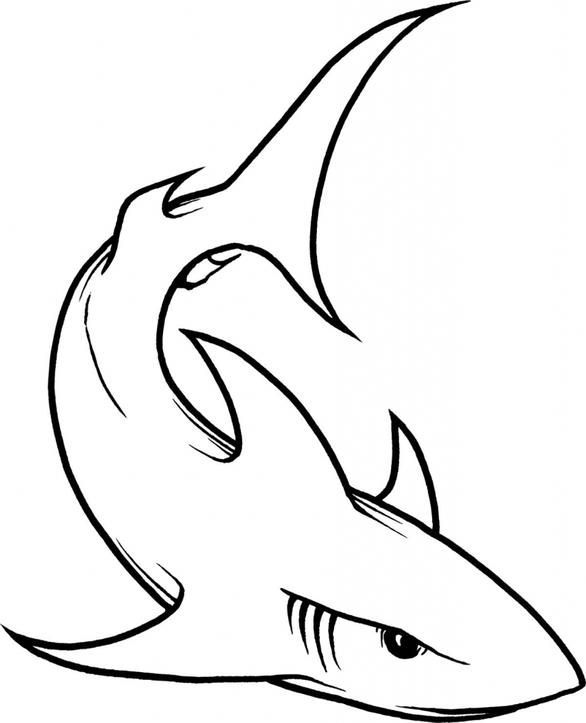 830x1024 Sharks Clipart Line Drawing