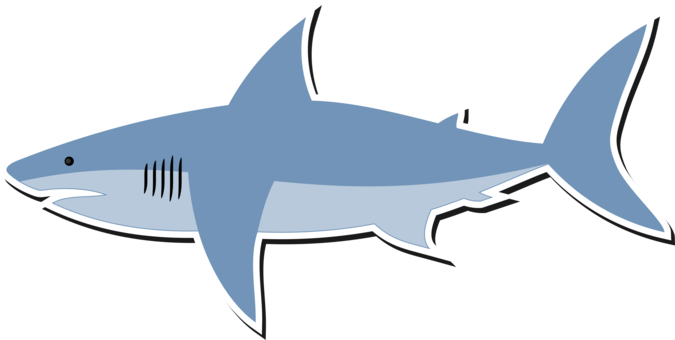 675x340 Drawing Shark Requiem Transparent Png Clipart Free Download
