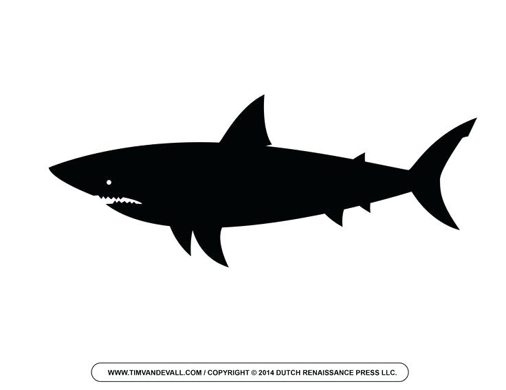 736x568 Great White Shark Outline Cartoon Vector Outline Illustration