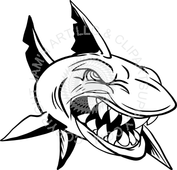 361x346 Mascot Drawing Shark Transparent Png Clipart Free Download