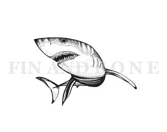 340x270 Flowers And Great White Shark Fine Art Print Original Shark Etsy