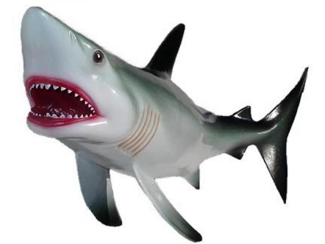 640x480 Great White Shark Clipart Easy Draw