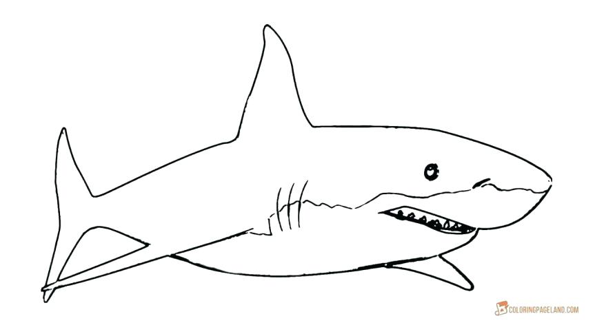 863x469 Great White Shark Coloring Pages Printable