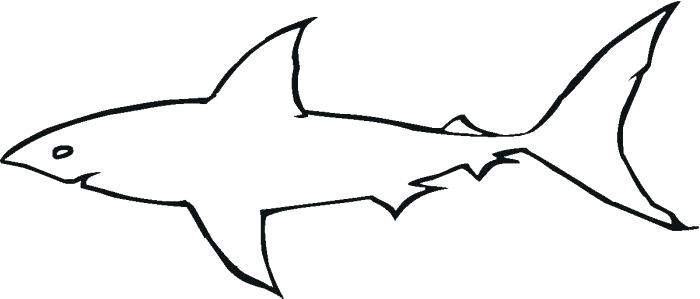 700x299 Great White Shark Outline Great White Shark Outline Cartoon Black
