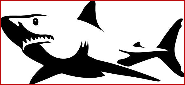 600x277 How To Draw A Great White Shark Sharks Do Get Cancer Tumor