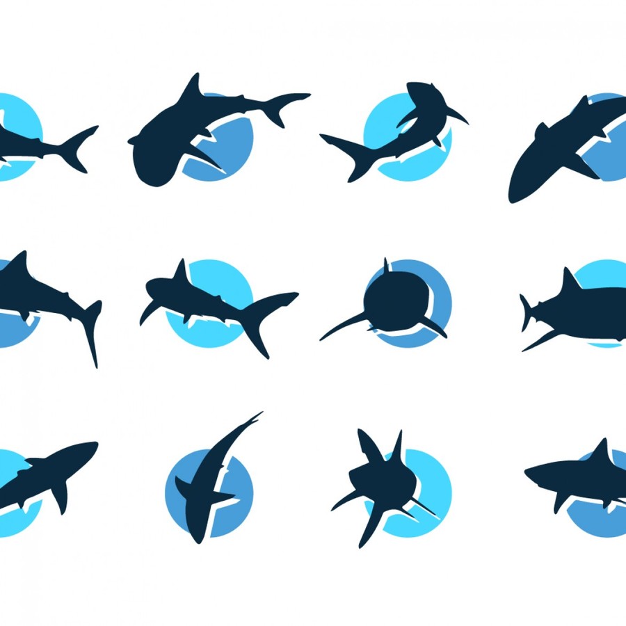 900x900 Clipart Wallpaper Blink