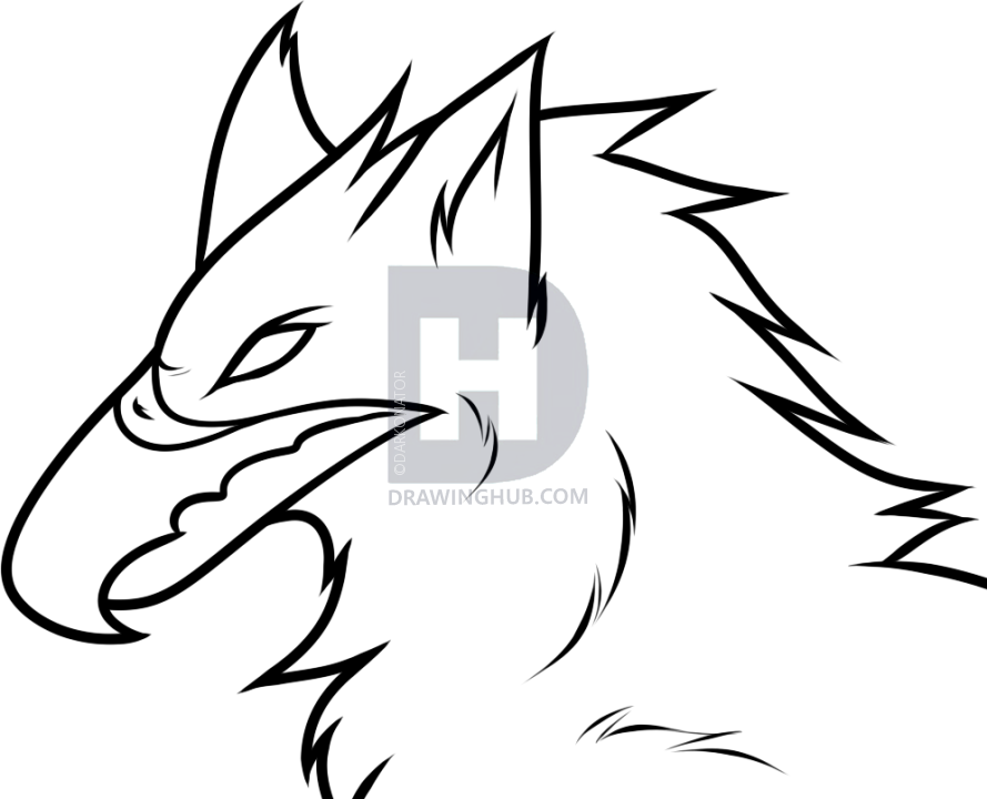 889x720 griffin drawing griffin mythology greek for free download