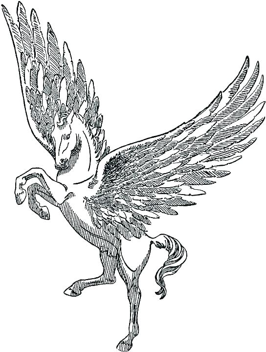 544x720 Greek Mythology Creatures Coloring Pages