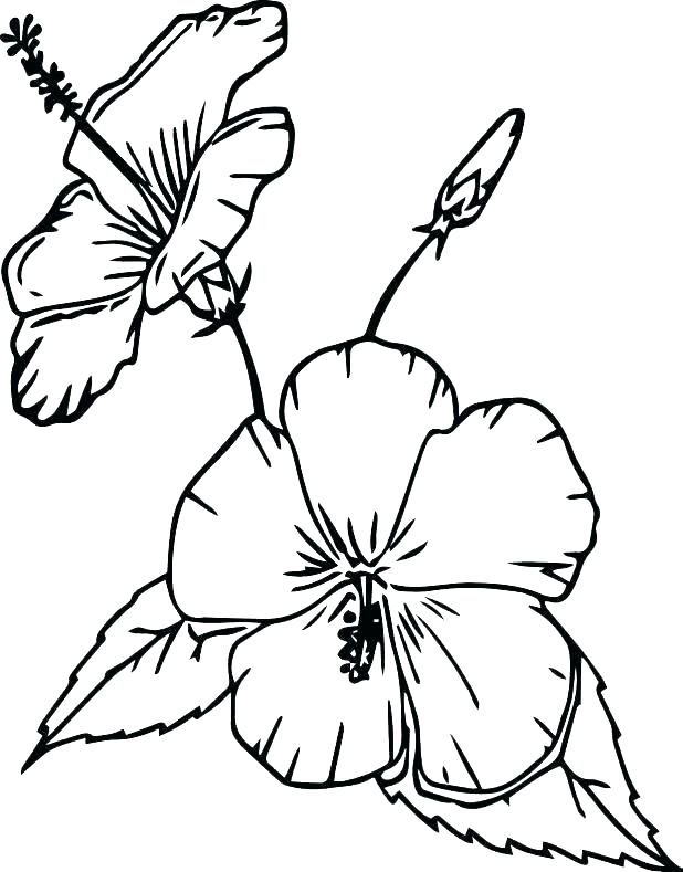 618x789 Pottery Coloring Pages Flowers In Vase Flower