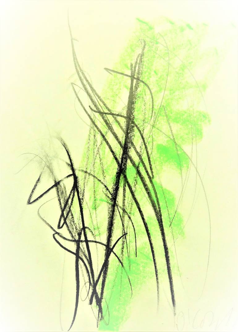 770x1073 Botanica F Drawing