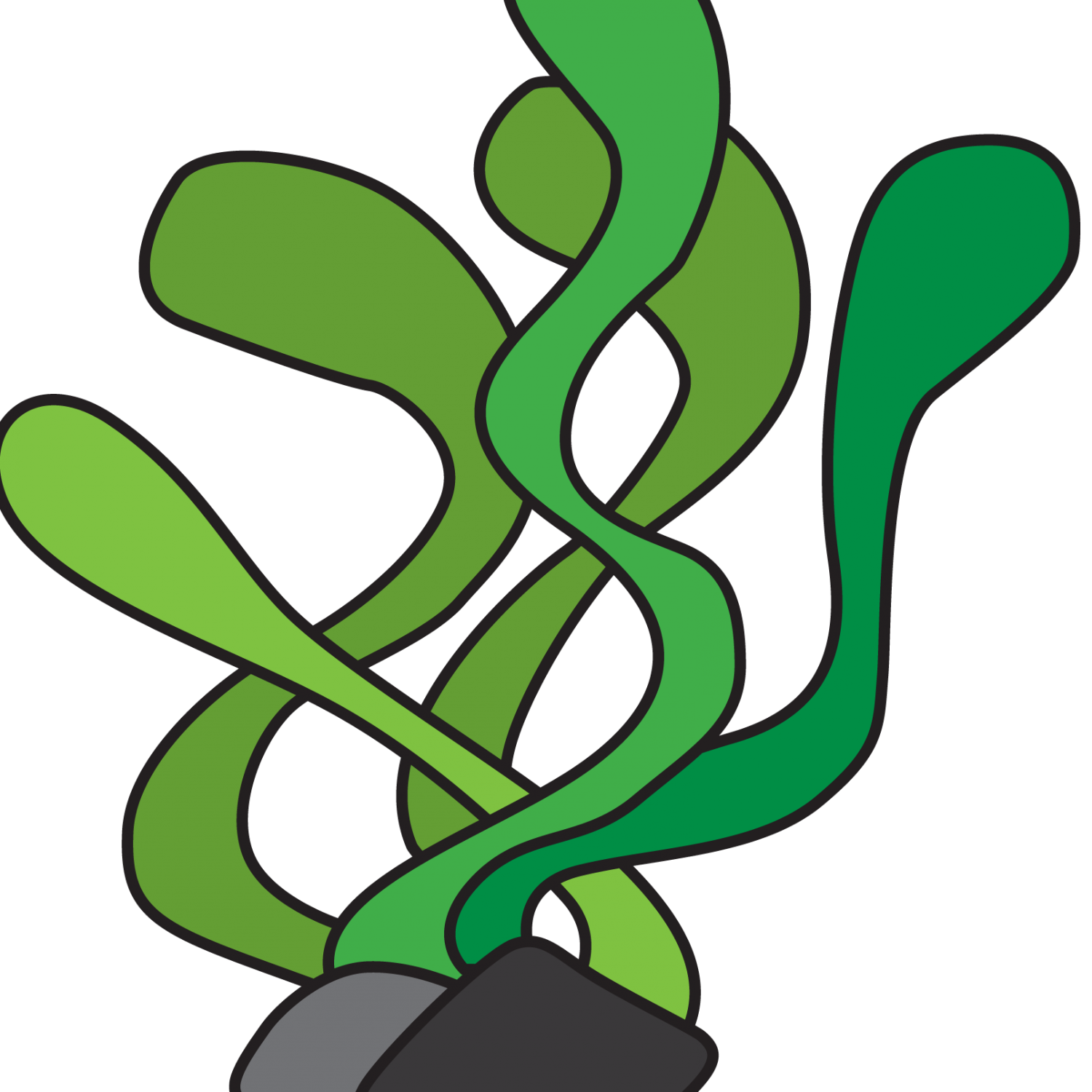 1500x1500 collection of free algae drawing cartoon download on ui ex