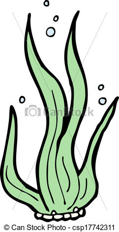 Collection of Algae clipart | Free download best Algae clipart on ...