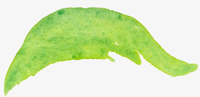 650x316 Green Leaves Painted Decorative Elements, Drawing Ink Plant, Hand