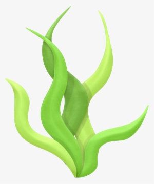 300x359 sea plants png, free hd sea plants transparent image