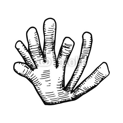 400x400 Algae Hand Drawing Vector Isolated Sea Plants Buy Photos Ap