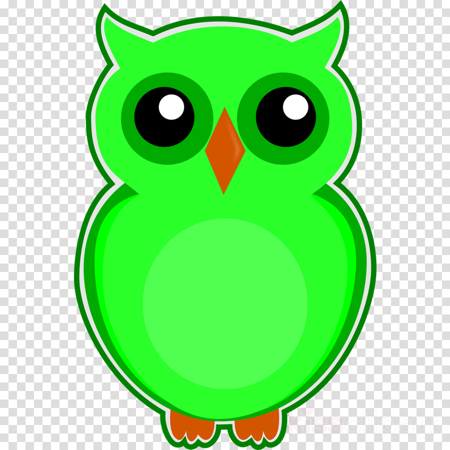 900x900 Drawing, Green, Bird, Transparent Png Image Clipart Free Download
