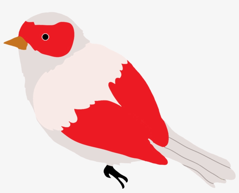 820x662 green colored bird drawing, red and grey colored bird