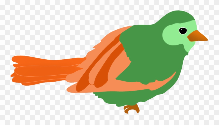 880x501 Green Colored Bird Drawing