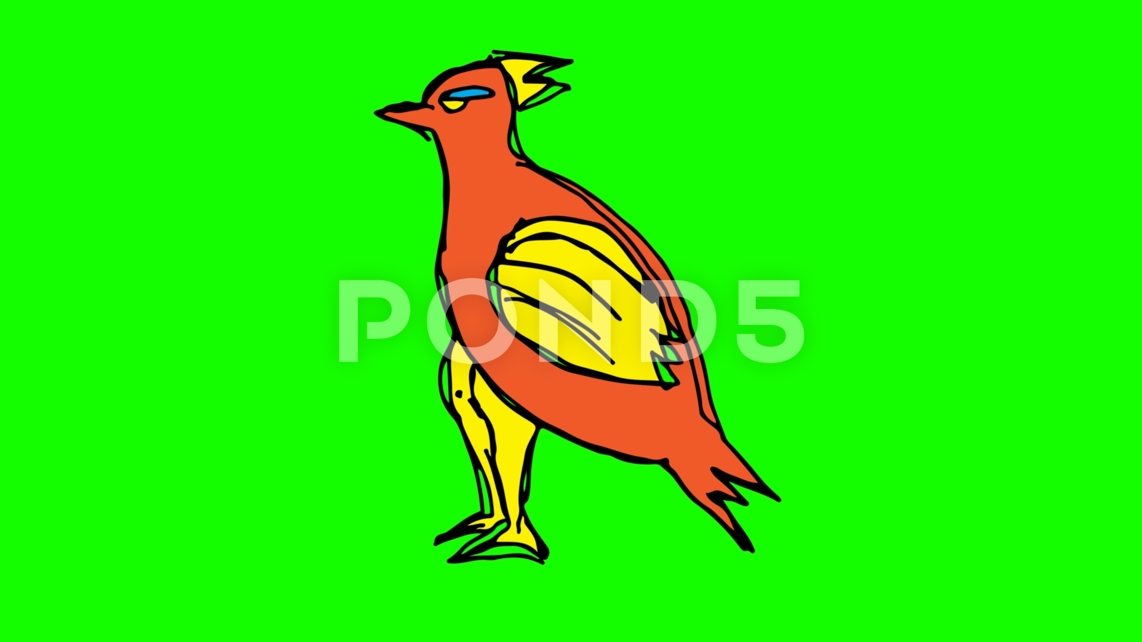3840x2160 Hand Drawing Symbol Green Screen With Theme Of Bird Video