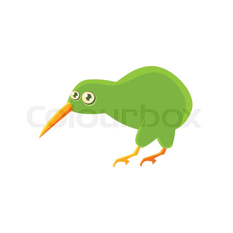 800x800 Kiwi Bird Toy Exotic Animal Drawing Stock Vector Colourbox