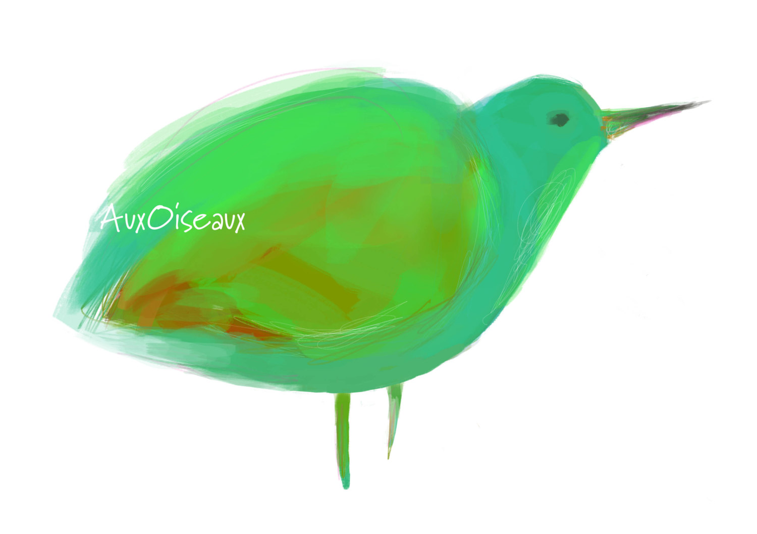 1500x1060 Sea Green Turquoise Orange Original Digital Drawing Bird Etsy