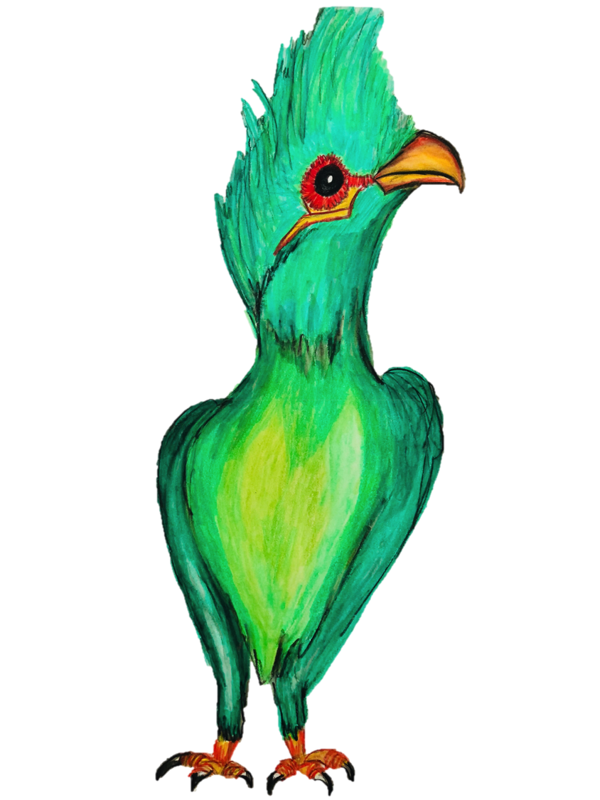 844x1125 slimming green organic tea bird tea